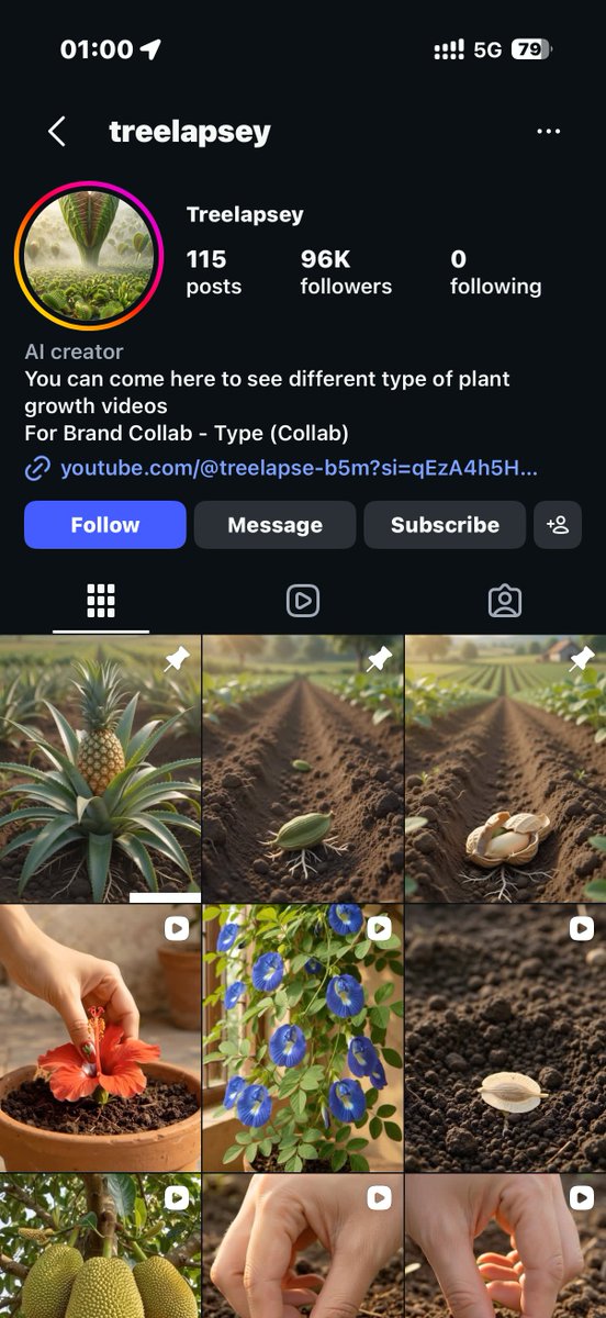 Image prompt preview